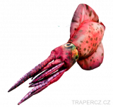 Chobotnice jižní 76cm (GP-780378 Sepioteuthis australis - The Squid)