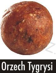 boilies   Expert Ořech tygří - prům. 16 mm - 1kg
