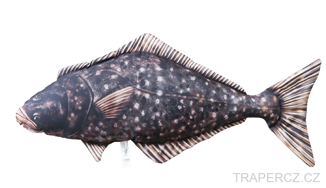 Halibut 72cm (GP-780217 Hippoglossus)