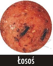 ULTRA boilies   Losos  - prům. 16 mm - 5 kg