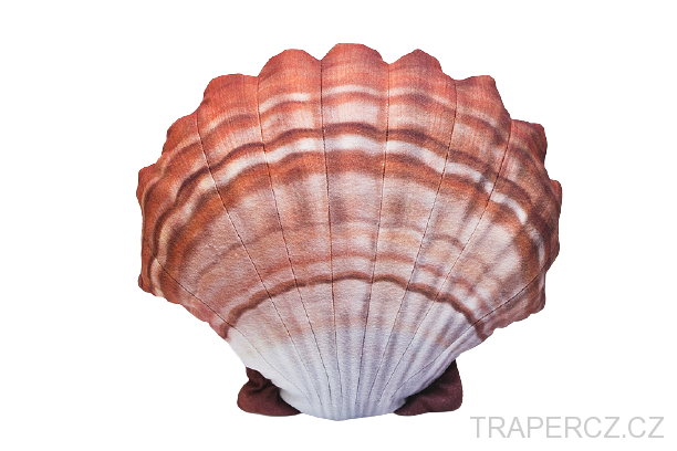 Mušle - Hřebenatka plyšová - oranžová 45cm