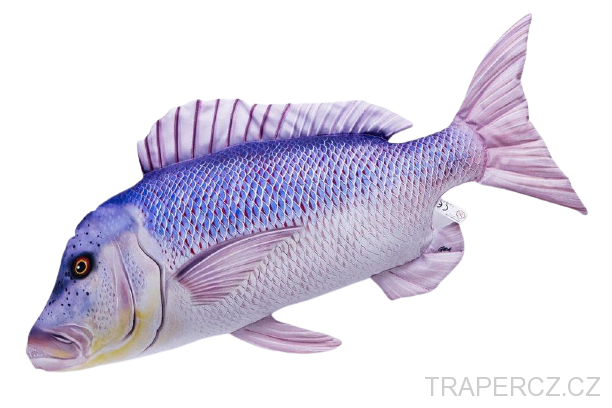 Zubatec obecný plyšový - DentexDentex  43cm