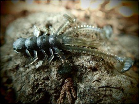 Vibro nymph 28mm - bílá