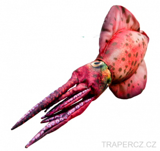 Chobotnice jižní 76cm 
