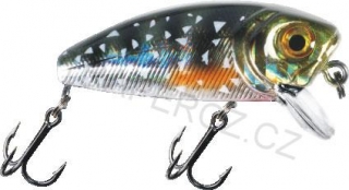 Wobler Shallow , Barva 6 / 40 mm / 4 g / 0,5 m