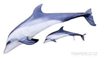 Delfín Butlonosý plyšový  MINI   55cm